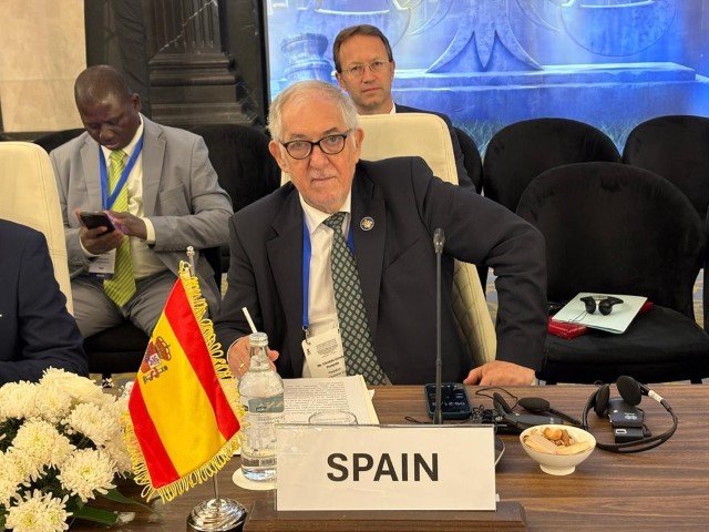 El Presidente del TC, en la Novena Reunión de alto nivel de Tribunales Constitucionales y Supremos de África en Egipto