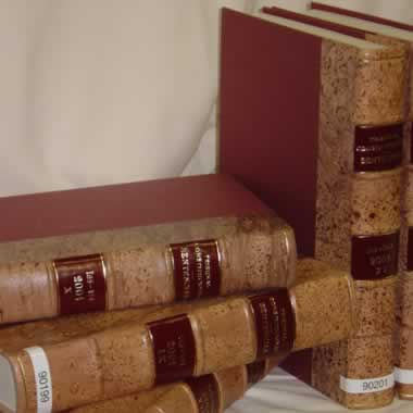 Cercador  de jurisprudència constitucional