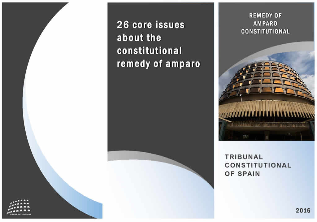 26 basic questions on the Amparo appeal (spanish text)