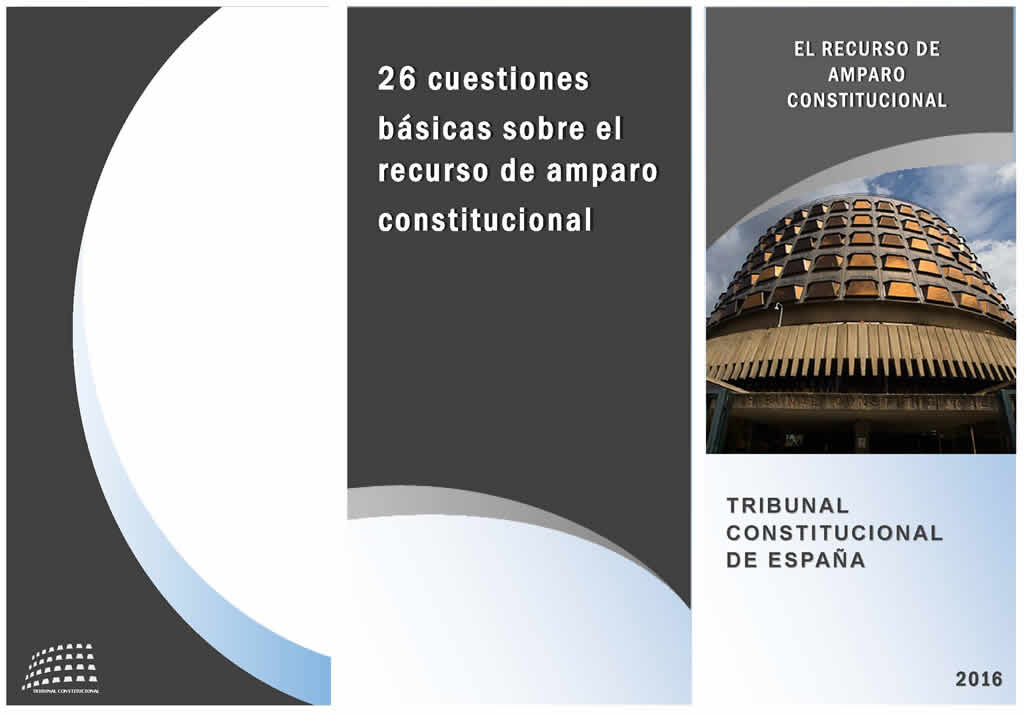 26 cuestiones básicas sobre el recurso de amparo constitucional